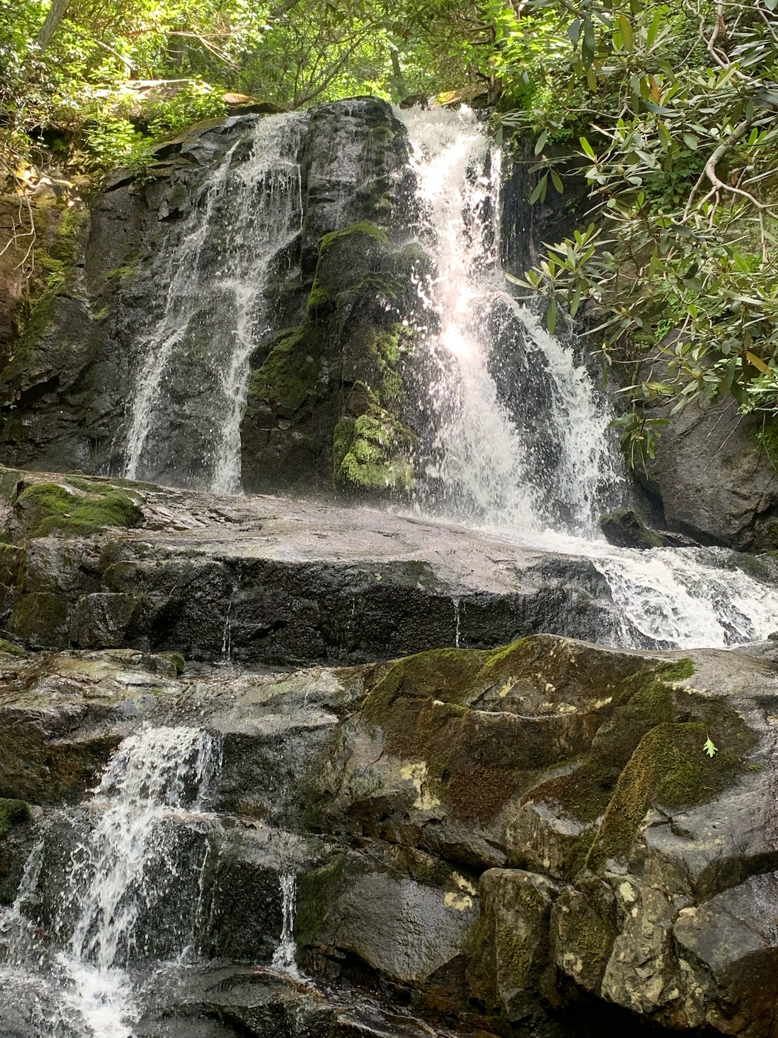 Day Hikes to Weekend Escapes: How We Plan Outdoor Family Trips